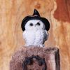 Snowy Spells 9cm Owls Gifts Under £100