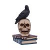 Raven's Spell 10.3cm Ravens RRP Under 10