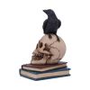 Raven's Spell 10.3cm Ravens RRP Under 10