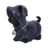 Reapers Kitty 15.5cm Cats Halloween RRP Below 20