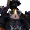 Familiar Cauldron 12.5cm Cats NEMESIS NOW | EASTER SALE