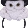Snowy Magic Door Knocker 21cm Owls Sale Items
