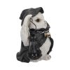 Reapers Flight Lantern 17cm Owls LED Figurines