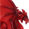 Tailong 21.5cm Dragons Dragon Figurines