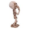 Skeletal Wish 18.5cm Skeletons Halloween Party
