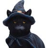 Bewitching 18.5cm Cats Halloween RRP Below 20