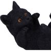 Familiar Helper 12.5cm Cats Gifts Under £100