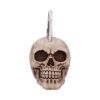 Four of a Kind 19cm Skulls Gifts Under £100
