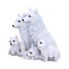 Protected Pups Wolves Out Of Stock