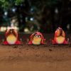 Three Wise Birds 9.8cm Animals NEMESIS NOW | EASTER SALE