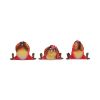 Three Wise Birds 9.8cm Animals NEMESIS NOW | EASTER SALE