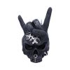 Horns Up 17.5cm Skulls Halloween RRP Below 20