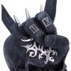 Horns Up 17.5cm Skulls Halloween RRP Below 20