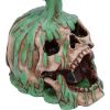 Fatal Elixir 19.2cm Skulls NEMESIS NOW | EASTER SALE