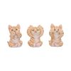 Three Wise Ginger Cats 8.5cm Cats NEMESIS NOW | EASTER SALE
