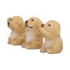 Three Wise Golden Labradors 7.5cm Dogs NEMESIS NOW | EASTER SALE
