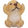 Three Wise Golden Labradors 7.5cm Dogs NEMESIS NOW | EASTER SALE
