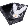 Owl Messenger Box 14cm Owls NEMESIS NOW | EASTER SALE