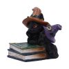 Duo Divination 10cm Cats Coven Keepers