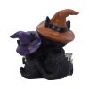 Duo Divination 10cm Cats Coven Keepers