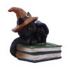 Duo Divination 10cm Cats Coven Keepers