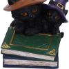 Duo Divination 10cm Cats Coven Keepers