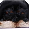 Potion Pair 10.5cm Cats Coven Keepers