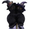 Kittens Orbuculum 19cm Cats Coven Keepers