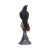 Perched Prophecy 17cm Ravens Halloween Party
