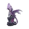 Viorel 45cm Dragons Last Chance to Buy