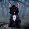 Reaper's Best Friend 27.5cm Dogs Top 200 None Licensed