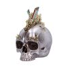 Chromatic Crystal 21cm Skulls Last Chance to Buy