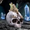 Chromatic Crystal 21cm Skulls Last Chance to Buy