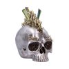 Chromatic Crystal 21cm Skulls Last Chance to Buy