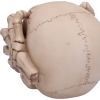 Cracked 15cm Skulls Halloween Party