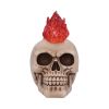 Hot-Headed 19cm Skulls LED Figurines