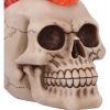 Hot-Headed 19cm Skulls LED Figurines