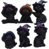 Coven Keepers (Replacement Cats 12pcs) 6cm Cats Out Of Stock