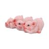 Three Wise Playful Pigs 8.4cm Animals NEMESIS NOW | EASTER SALE