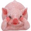 Three Wise Playful Pigs 8.4cm Animals NEMESIS NOW | EASTER SALE