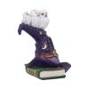 The Witching Perch 18.5cm Owls Gifts Under £100