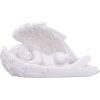 Softly They Sleep (Set of 2) 16.5cm Cherubs Spiritual Product Guide
