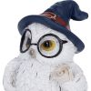 Archimedes 8.5cm Owls Gifts Under £100