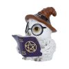 Cornelius 8.6cm Owls Gifts Under £100