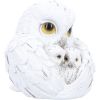 Feathered Nest 10.7cm Owls Easter