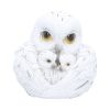 Feathered Nest 10.7cm Owls Easter