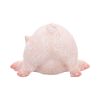Truffle 8.5cm Animals Gifts Under £100