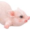 Truffle 8.5cm Animals Gifts Under £100