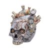 Cardiac Cranium (Silver) Skulls Gifts Under £100