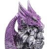 Hoard Protector Box (Purple) Dragons New Arrivals